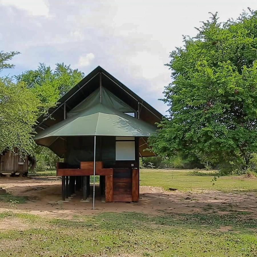 Yala Dream Park Hotell Eksteriør bilde