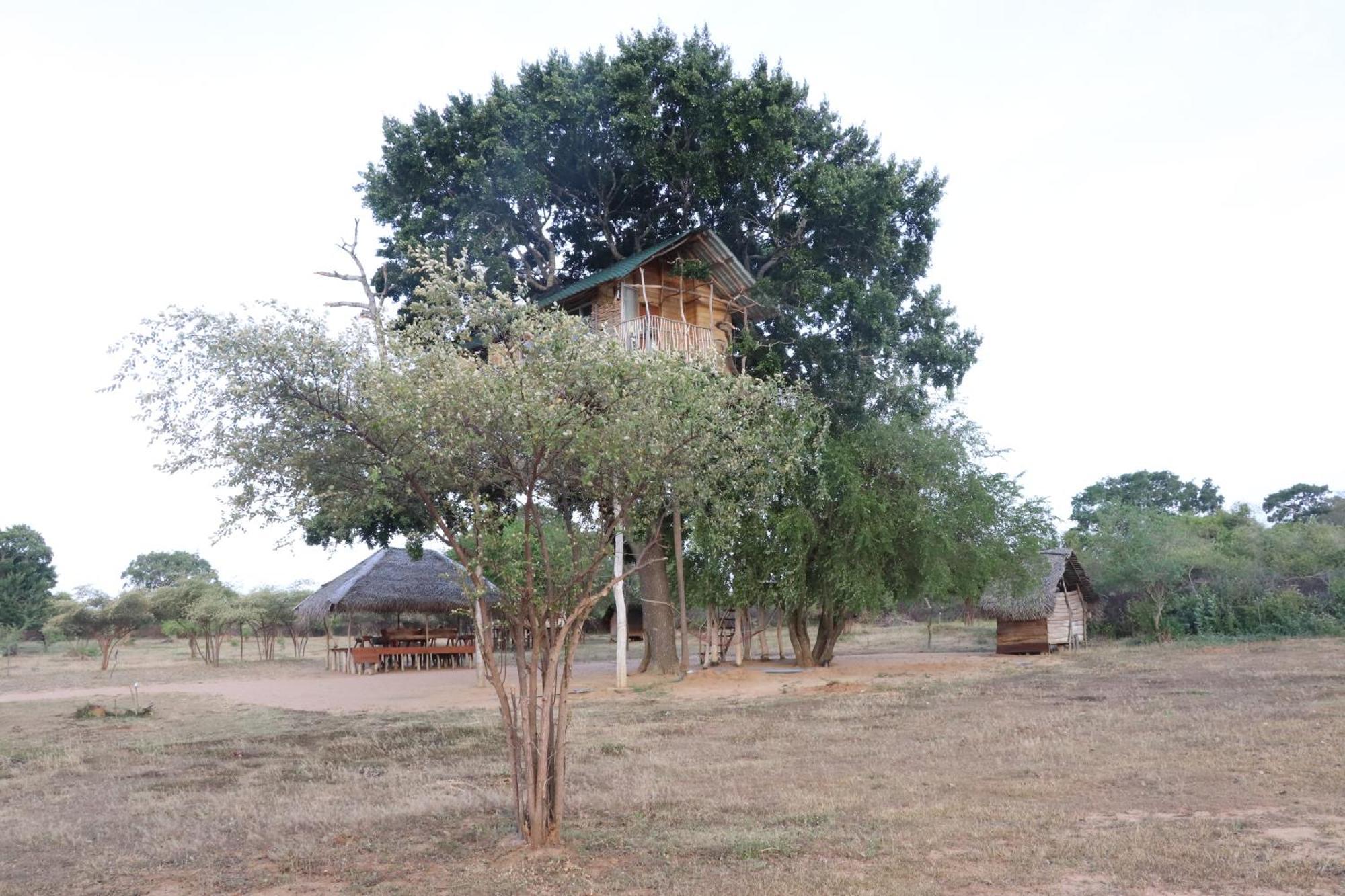 Yala Dream Park Hotell Eksteriør bilde