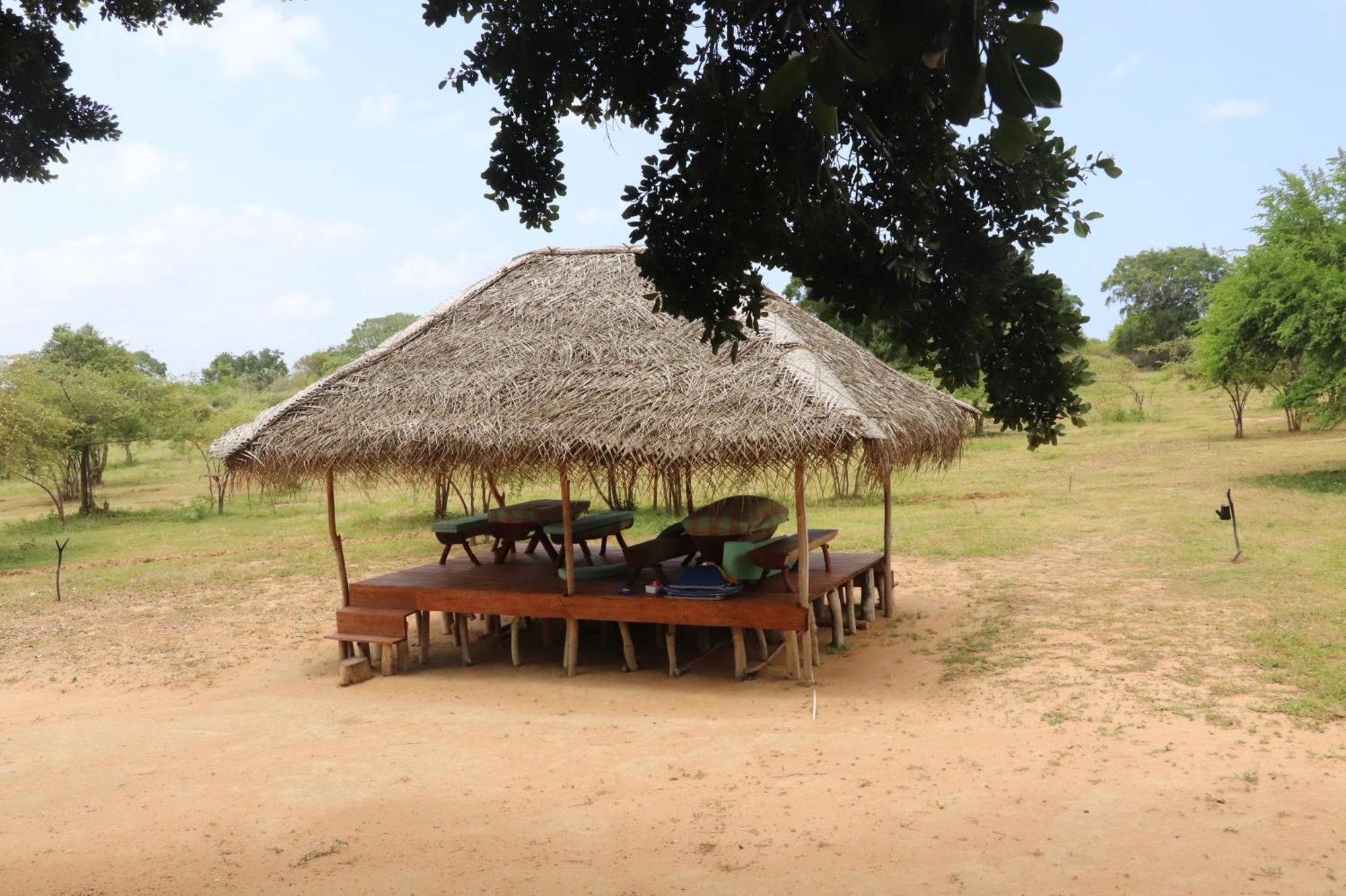 Yala Dream Park Hotell Eksteriør bilde