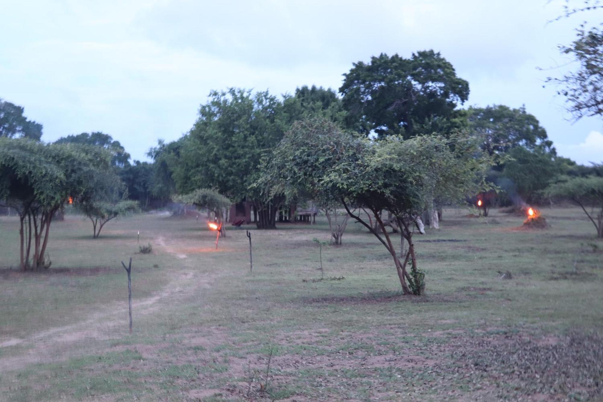 Yala Dream Park Hotell Eksteriør bilde