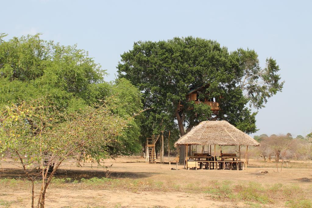 Yala Dream Park Hotell Eksteriør bilde
