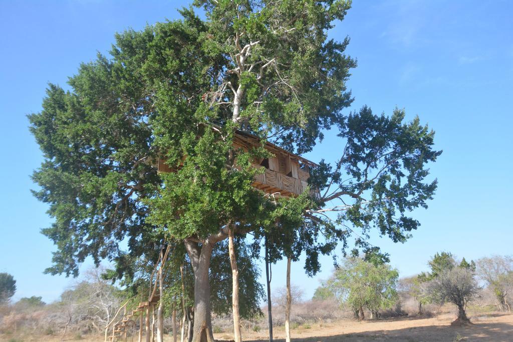 Yala Dream Park Hotell Eksteriør bilde
