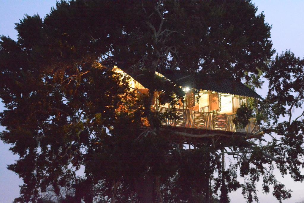 Yala Dream Park Hotell Eksteriør bilde