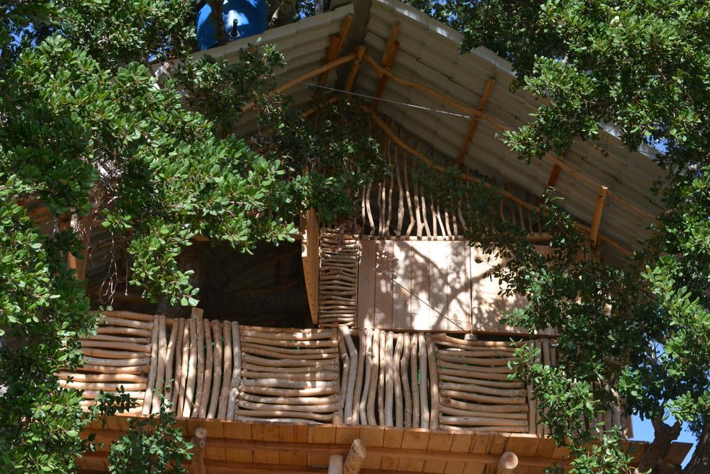 Yala Dream Park Hotell Eksteriør bilde