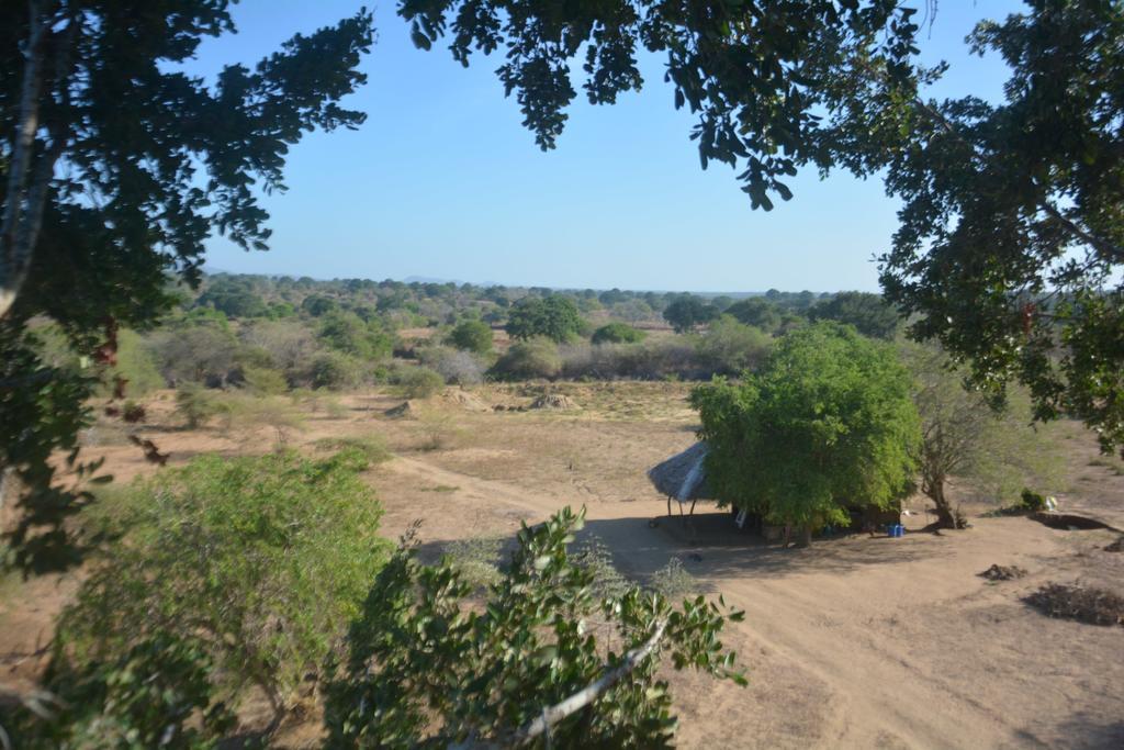 Yala Dream Park Hotell Eksteriør bilde