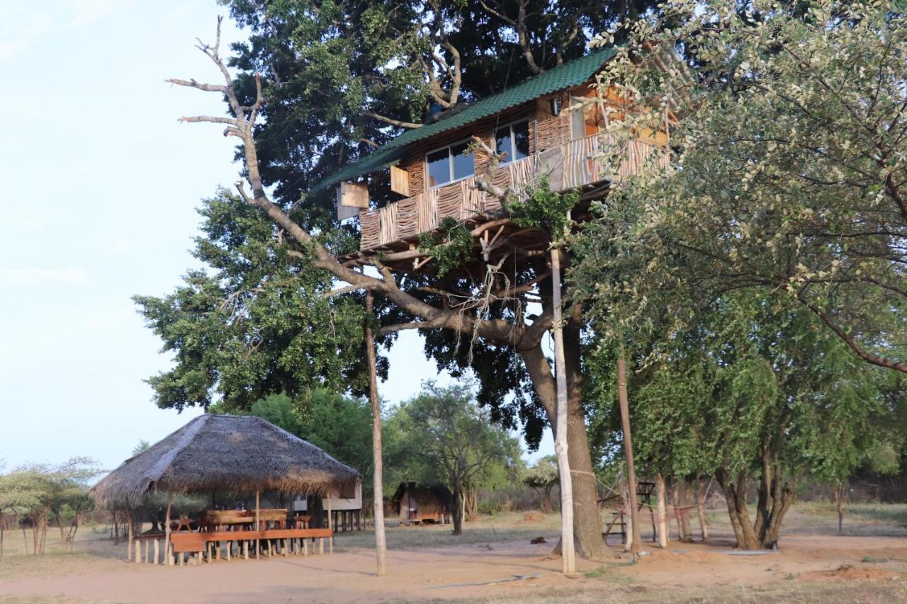 Yala Dream Park Hotell Eksteriør bilde