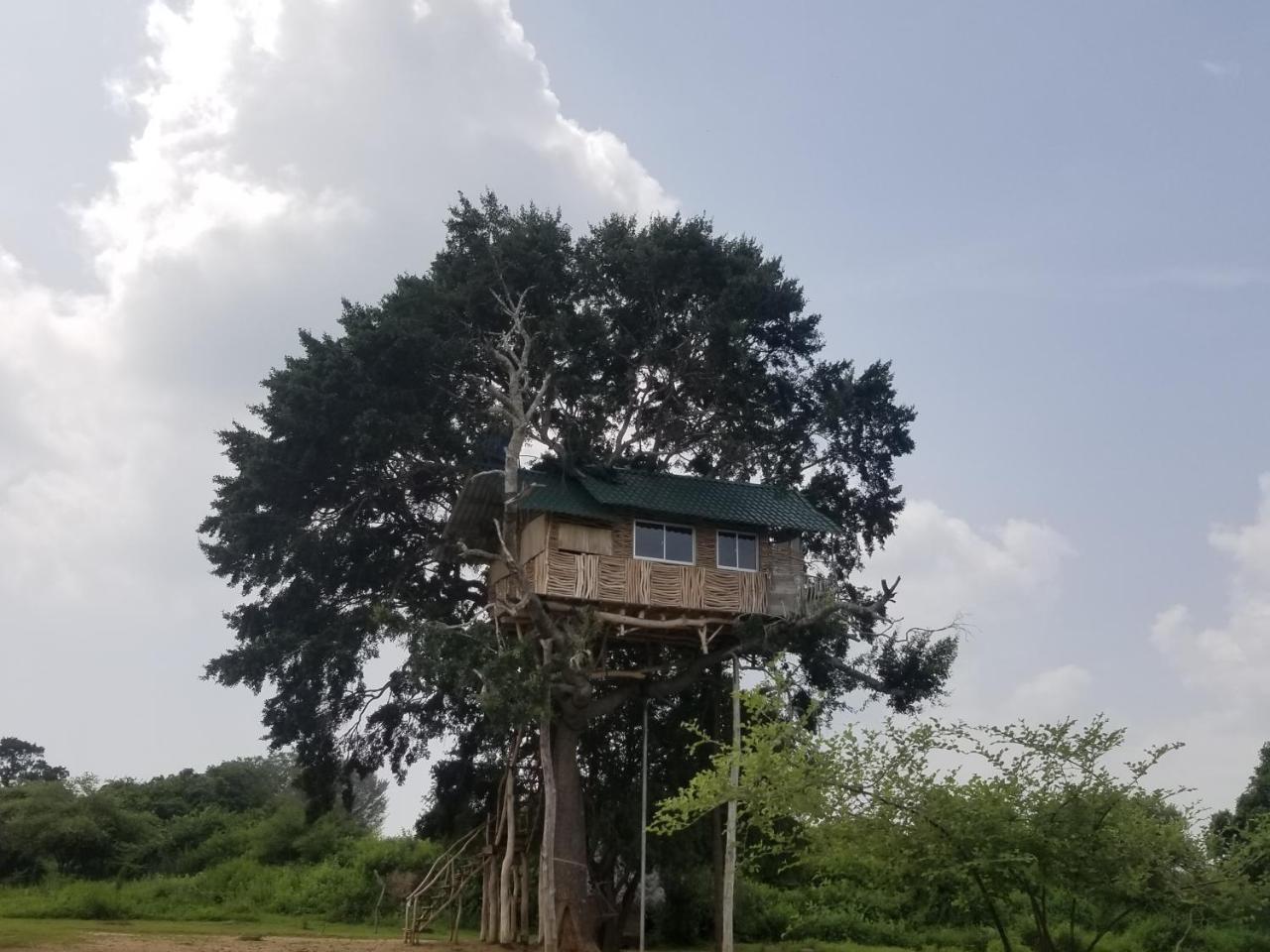 Yala Dream Park Hotell Eksteriør bilde