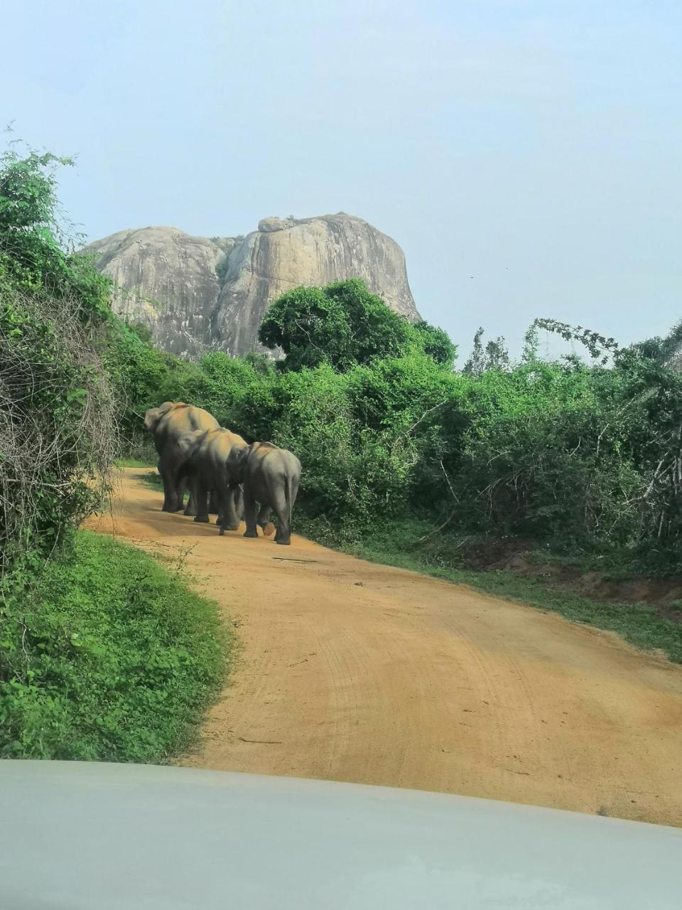Yala Dream Park Hotell Eksteriør bilde